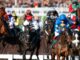 Saturday ITV Racing Tips: Mark Milligan’s Top Selections at Newbury and Newcastle